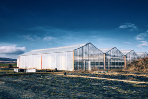 Outside greenhouse with cloudy sky background in countryside.